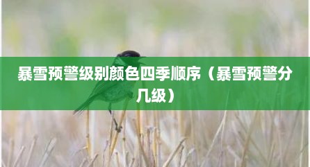 暴雪预警级别颜色四季顺序（暴雪预警分几级）