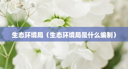 生态环境局（生态环境局是什么编制）