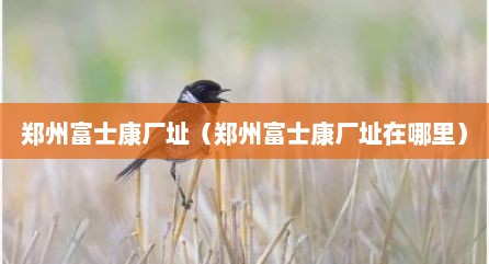 郑州富士康厂址（郑州富士康厂址在哪里）