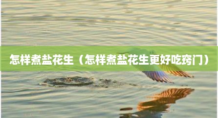 怎样煮盐花生（怎样煮盐花生更好吃窍门）