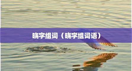 晓字组词（晓字组词语）