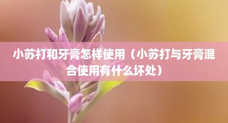 小苏打和牙膏怎样使用（小苏打与牙膏混合使用有什么坏处）
