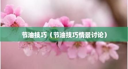 节油技巧（节油技巧情景讨论）