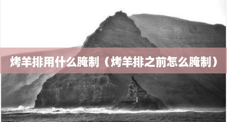 烤羊排用什么腌制（烤羊排之前怎么腌制）