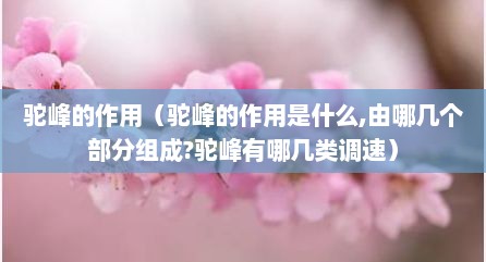 驼峰的作用（驼峰的作用是什么,由哪几个部分组成?驼峰有哪几类调速）