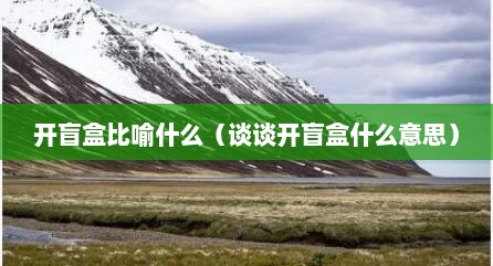 开盲盒比喻什么（谈谈开盲盒什么意思）