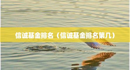 信诚基金排名（信诚基金排名第几）