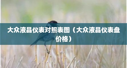大众液晶仪表对照表图（大众液晶仪表盘价格）