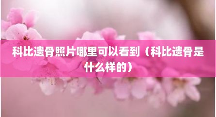 科比遗骨照片哪里可以看到（科比遗骨是什么样的）