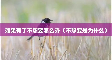 如果有了不想要怎么办（不想要是为什么）