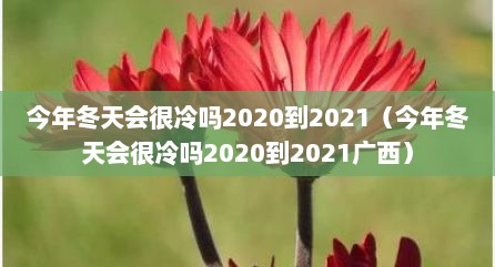 今年冬天会很冷吗2020到2021（今年冬天会很冷吗2020到2021广西）