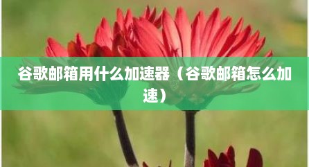 谷歌邮箱用什么加速器（谷歌邮箱怎么加速）