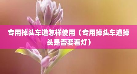 专用掉头车道怎样使用（专用掉头车道掉头是否要看灯）