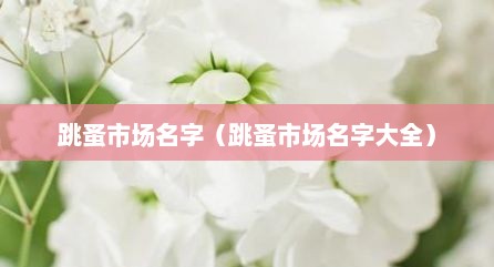 跳蚤市场名字（跳蚤市场名字大全）
