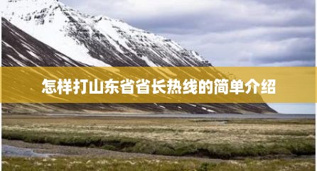 怎样打山东省省长热线的简单介绍