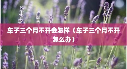 车子三个月不开会怎样（车子三个月不开怎么办）