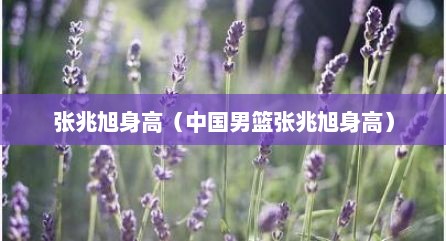 张兆旭身高（中国男篮张兆旭身高）