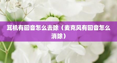 耳机有回音怎么去除（麦克风有回音怎么消除）