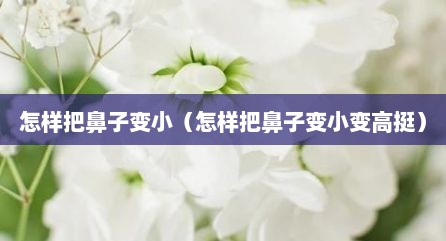 怎样把鼻子变小（怎样把鼻子变小变高挺）