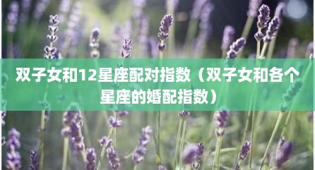 双子女和12星座配对指数（双子女和各个星座的婚配指数）