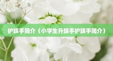 护旗手简介（小学生升旗手护旗手简介）