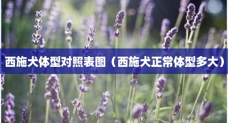 西施犬体型对照表图（西施犬正常体型多大）