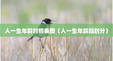 人一生年龄对照表图（人一生年龄段划分）