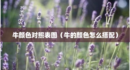 牛颜色对照表图（牛的颜色怎么搭配）