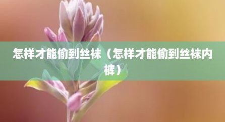 怎样才能偷到丝袜（怎样才能偷到丝袜内裤）