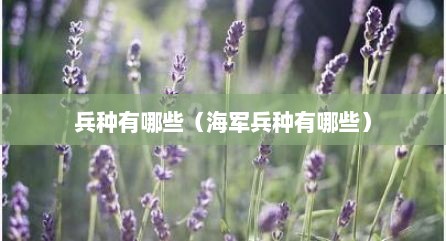 兵种有哪些（海军兵种有哪些）
