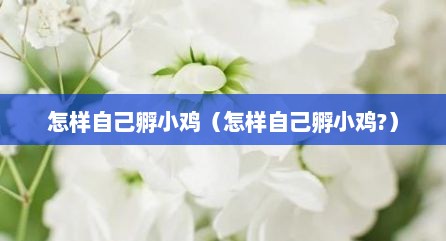 怎样自己孵小鸡（怎样自己孵小鸡?）