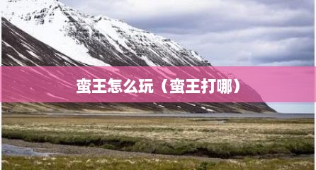 蛮王怎么玩（蛮王打哪）