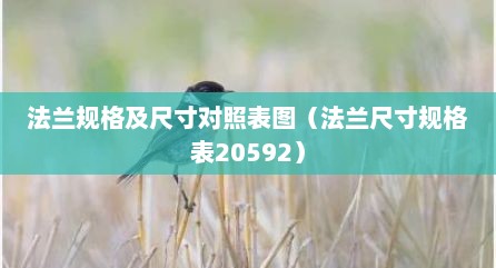 法兰规格及尺寸对照表图（法兰尺寸规格表20592）