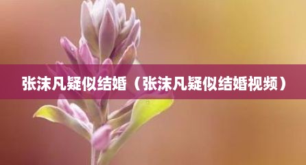 张沫凡疑似结婚（张沫凡疑似结婚视频）