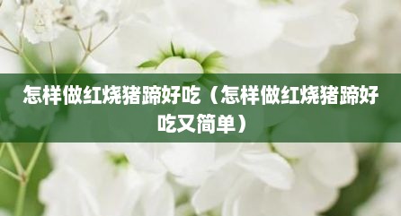 怎样做红烧猪蹄好吃（怎样做红烧猪蹄好吃又简单）
