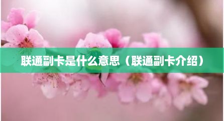 联通副卡是什么意思（联通副卡介绍）