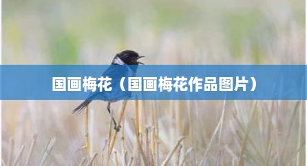 国画梅花（国画梅花作品图片）