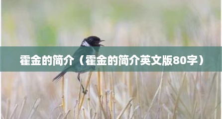 霍金的简介（霍金的简介英文版80字）