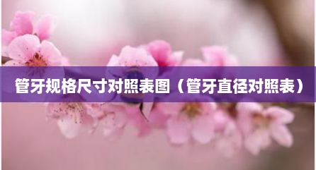 管牙规格尺寸对照表图（管牙直径对照表）