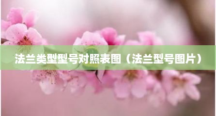 法兰类型型号对照表图（法兰型号图片）