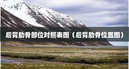 后背肋骨部位对照表图（后背肋骨位置图）