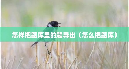 怎样把题库里的题导出（怎么把题库）