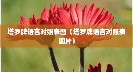 塔罗牌语言对照表图（塔罗牌语言对照表图片）