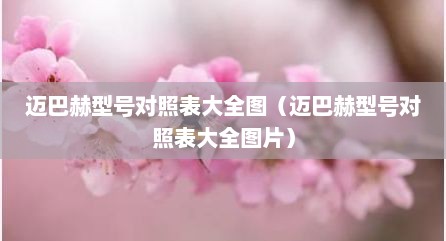 迈巴赫型号对照表大全图（迈巴赫型号对照表大全图片）