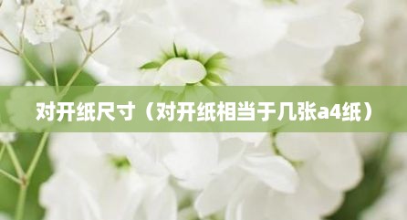 对开纸尺寸（对开纸相档于几张a4纸）