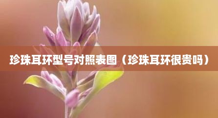 珍珠耳环型号对照表图（珍珠耳环很贵吗）