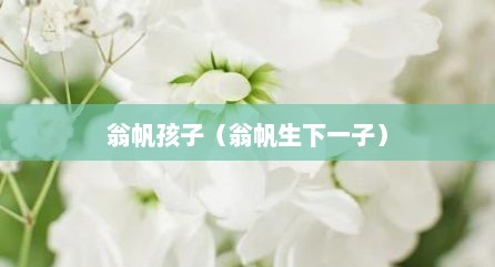 翁帆孩子（翁帆生下一子）