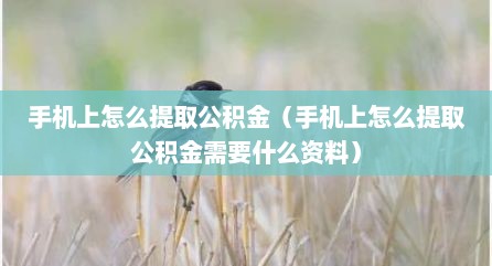 手机上怎么提取公积金（手机上怎么提取公积金需要什么资料）