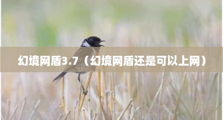 幻境网盾3.7（幻境网盾还是可以上网）