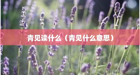 青见读什么（青见什么意思）